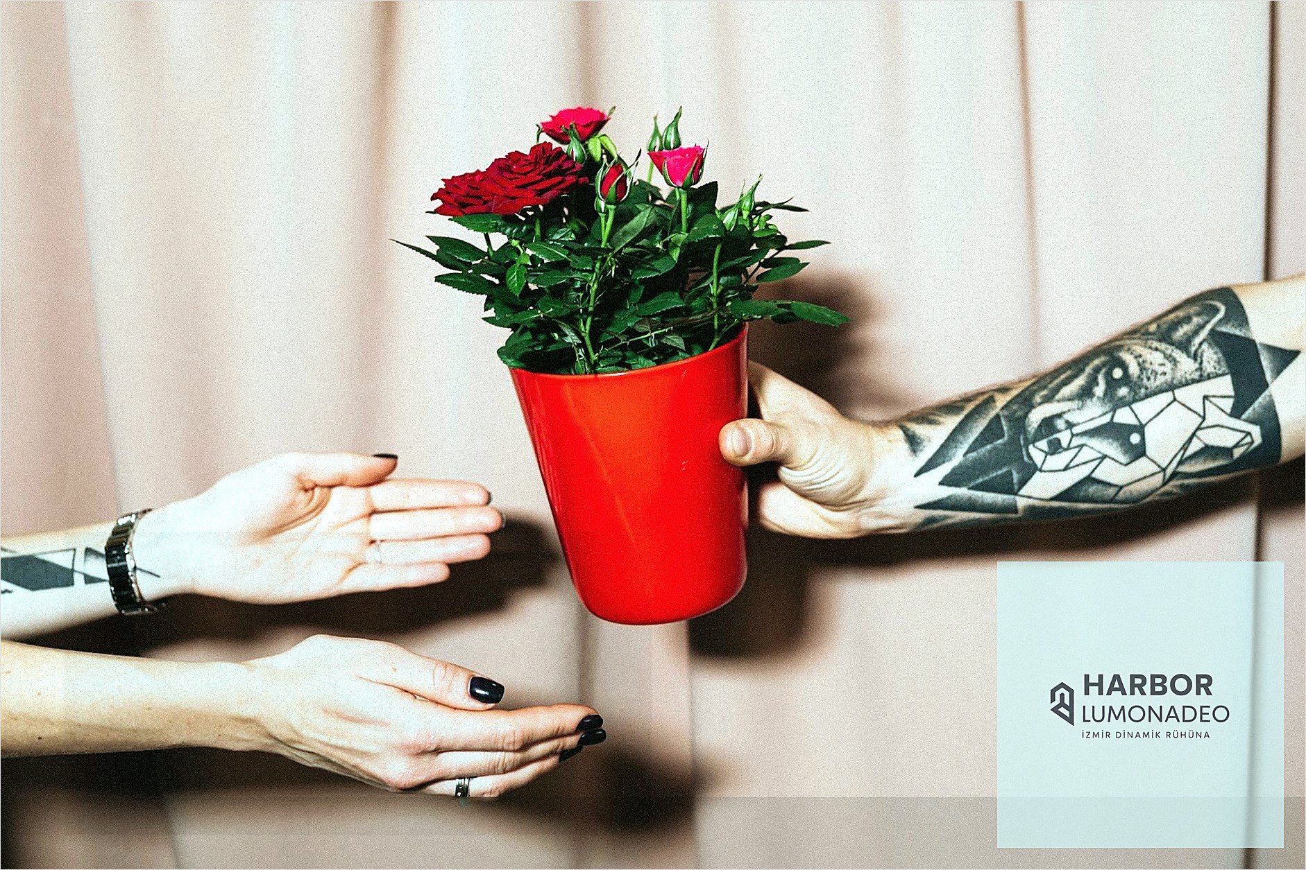 Online Çiçek Siparişi