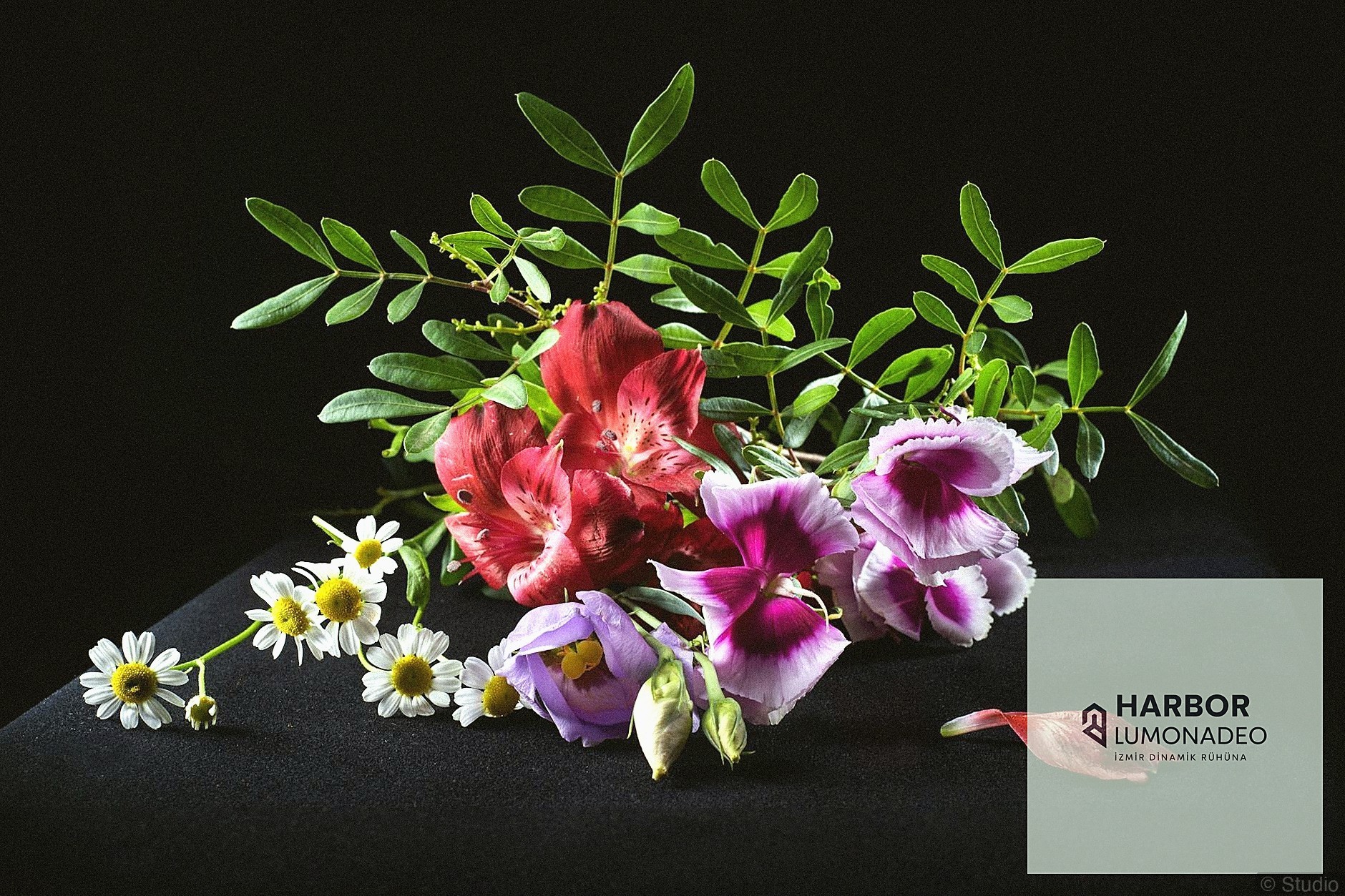 Özel Gün Çiçekleri